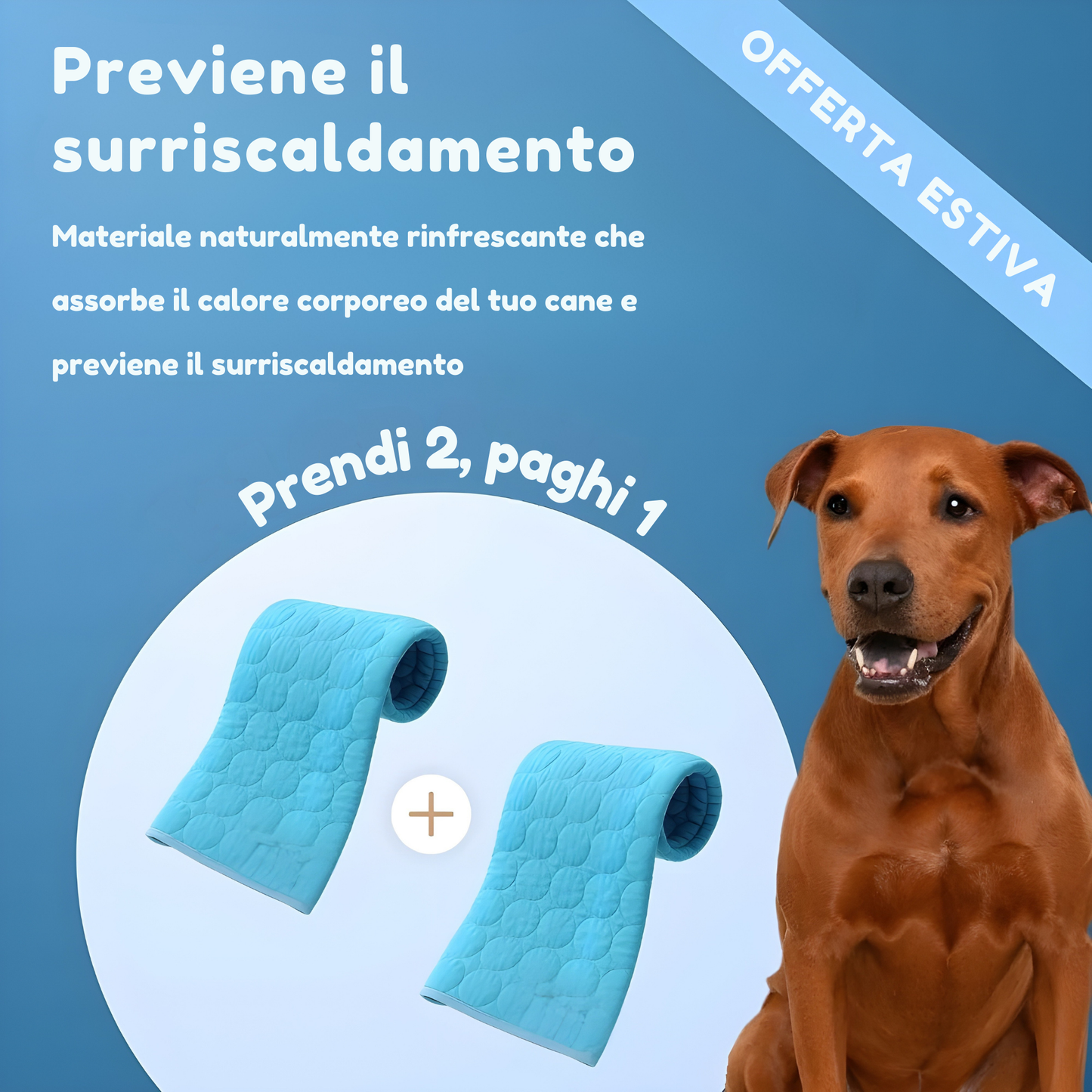 Tappetino rinfrescante per cani Bobby’s (1+1 gratis)