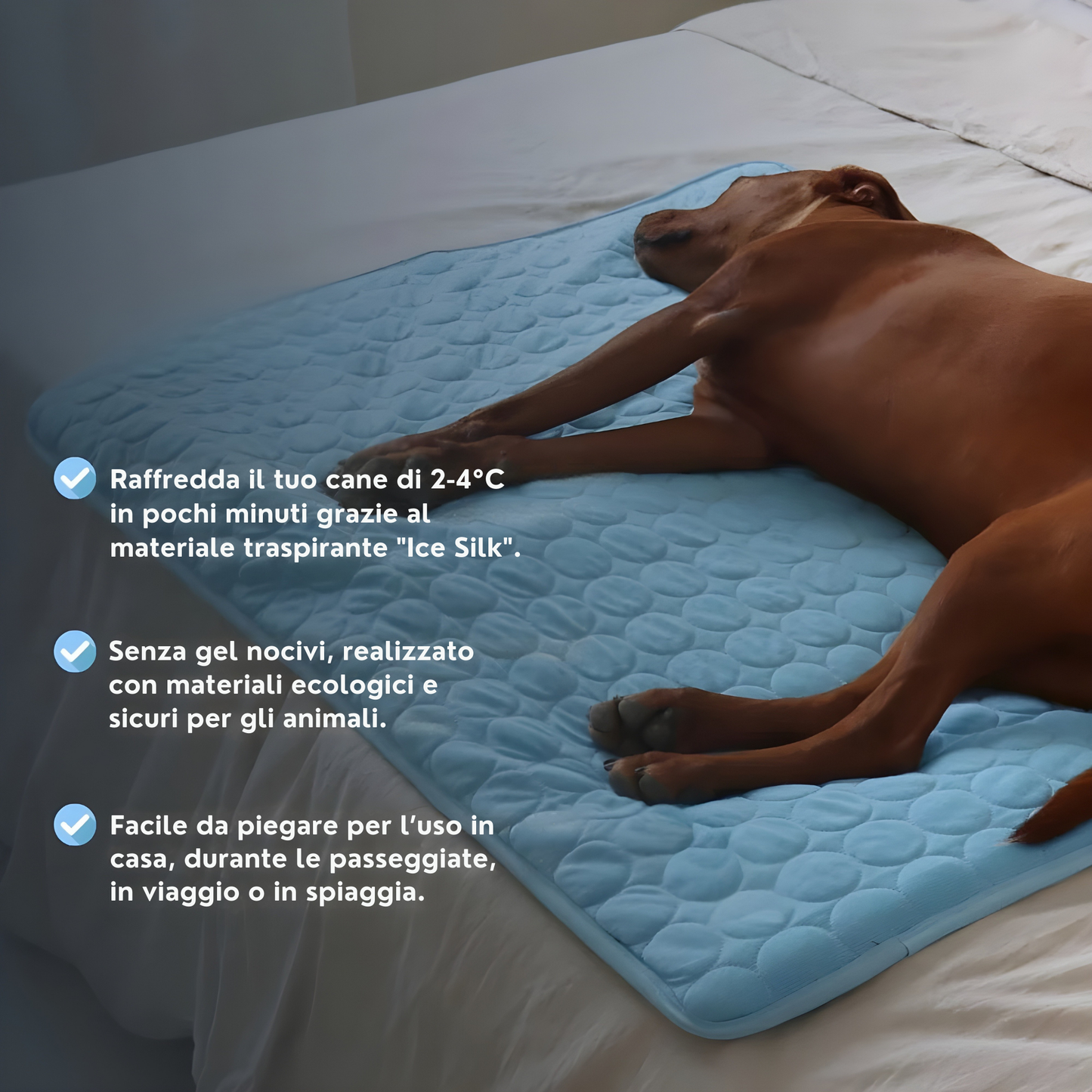 Tappetino rinfrescante per cani Bobby’s (1+1 gratis)