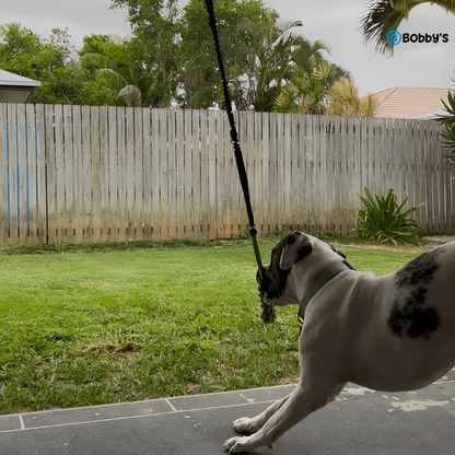 Giocattolo da Tiro Resistente per Cani - Bobby's
