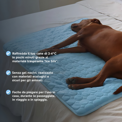 Tappetino rinfrescante per cani Bobby’s (1+1 gratis)