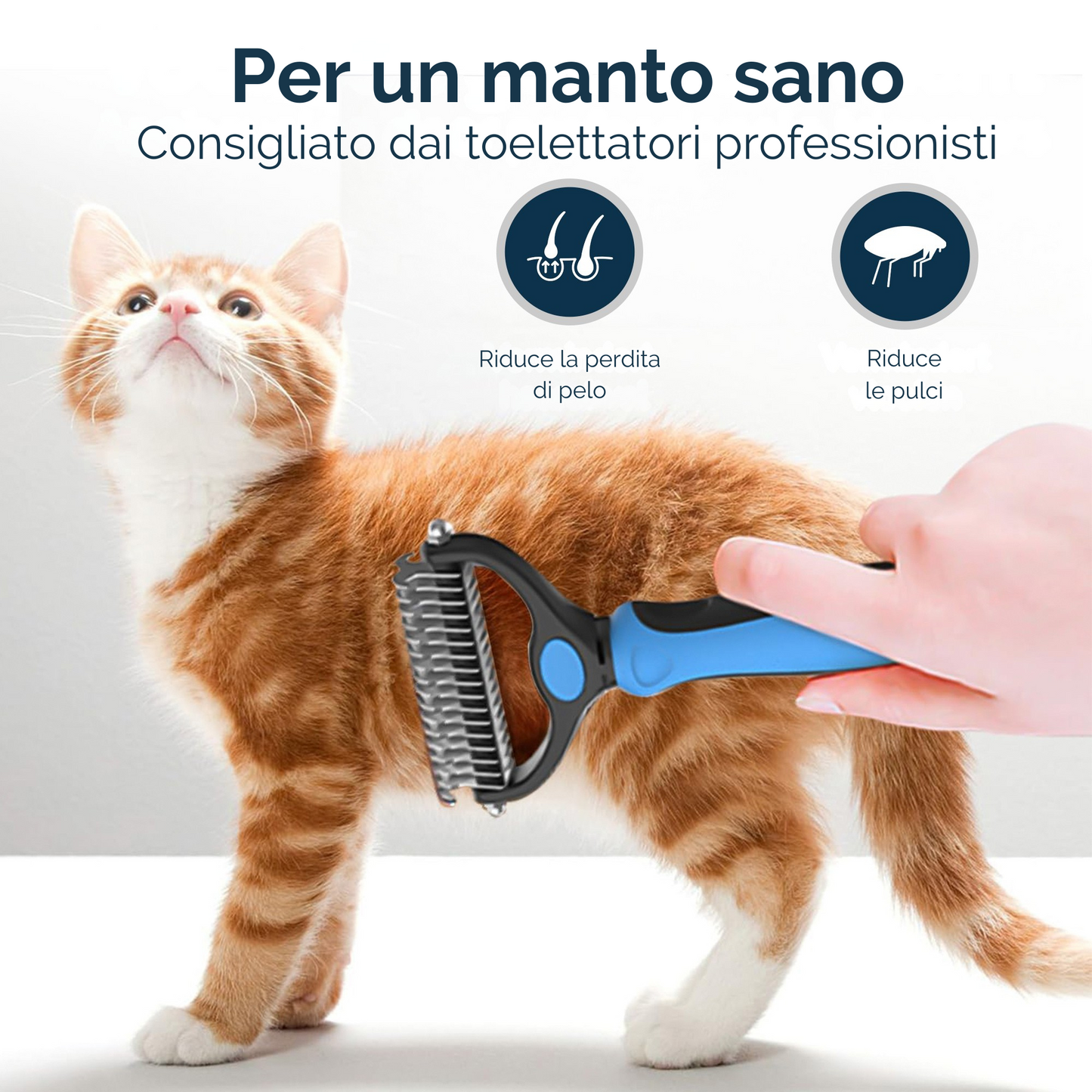 Pettine 2-in-1 di Bobby's